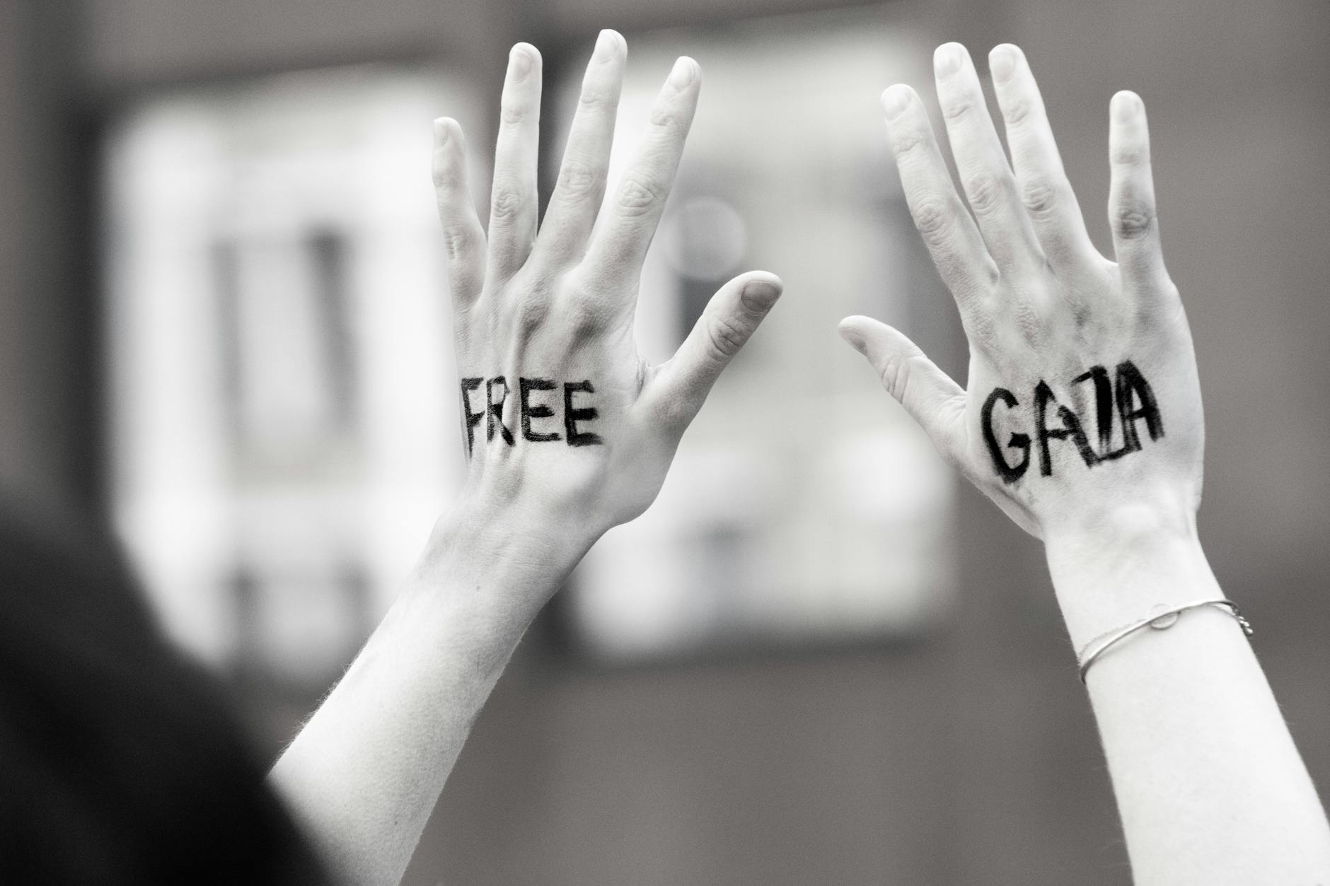 Gaza NowPop Project hero image